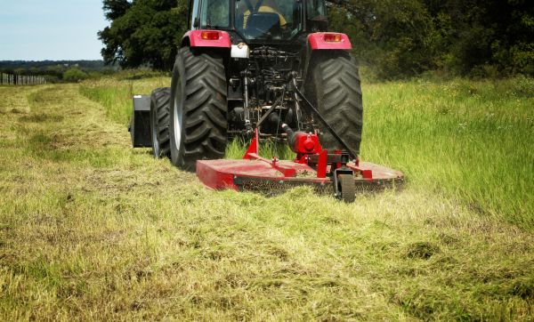Brush Clearing Service in Sherman